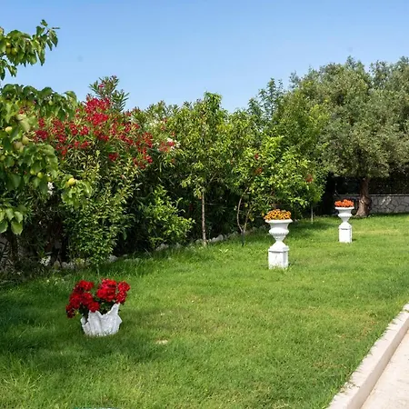 Five Stars Вилла Skala (Kefalonia)